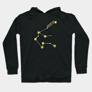 Aquarius is my sign! Hoodie